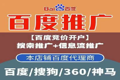 某电商平台的SEM竞价专员成功案例分享